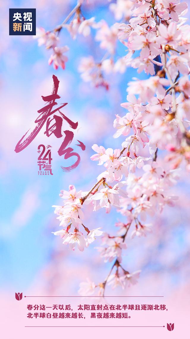 今日春分，莫负好时光！
