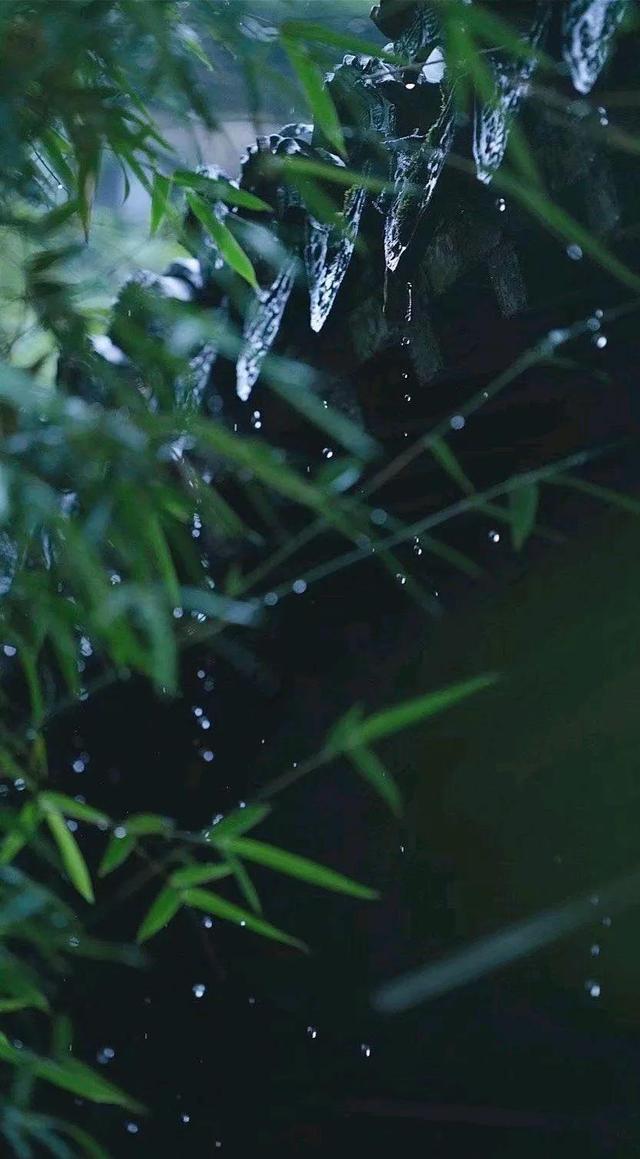 初夏的细雨