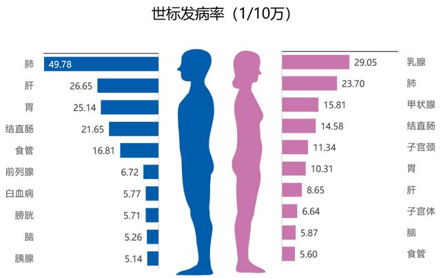 20岁后就该做的癌症筛查清单