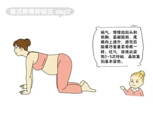 孕妇缓解腰酸背痛瑜伽（孕期腰酸背痛耻骨疼）(3)