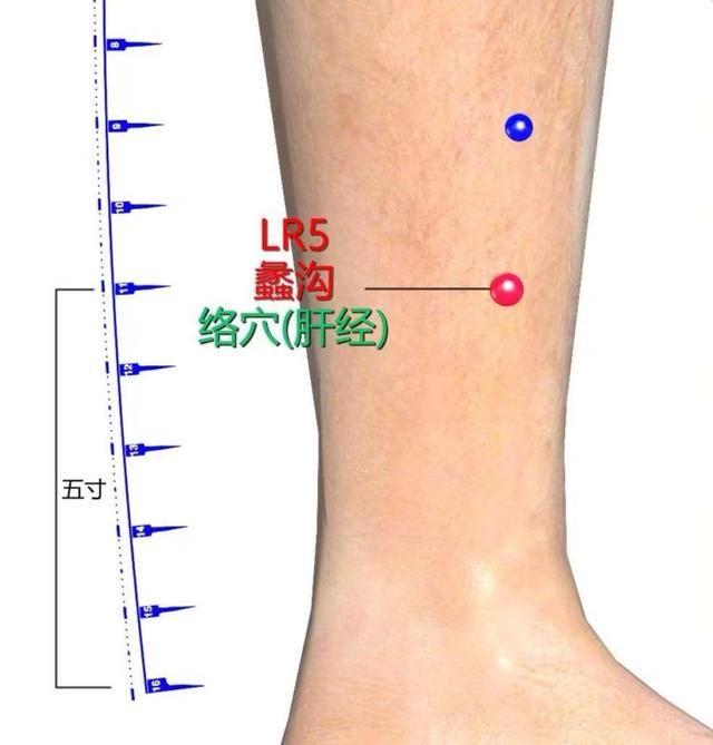 中医穴位小妙招：蠡沟穴——和瘙痒异味说拜拜