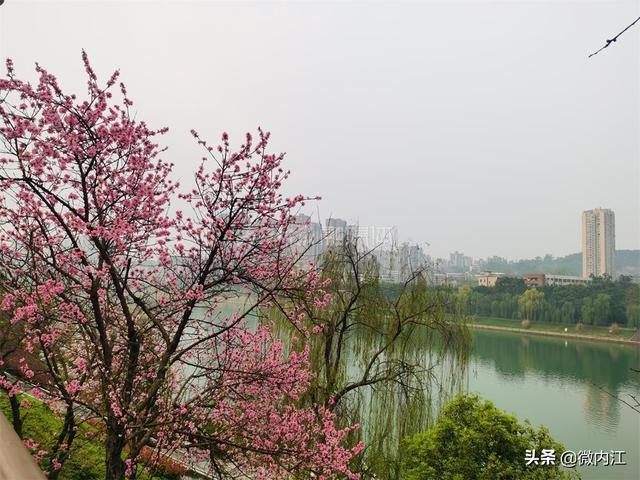 绿化工程公司五年发展规划