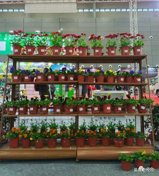 长沙机械展2021几点