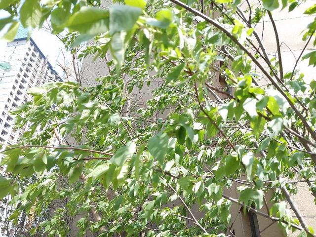 春天的景色美