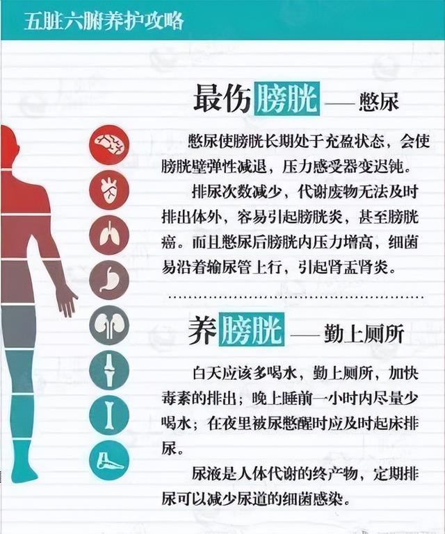 五脏六腑养护攻略一览表，十分实用，值得收藏