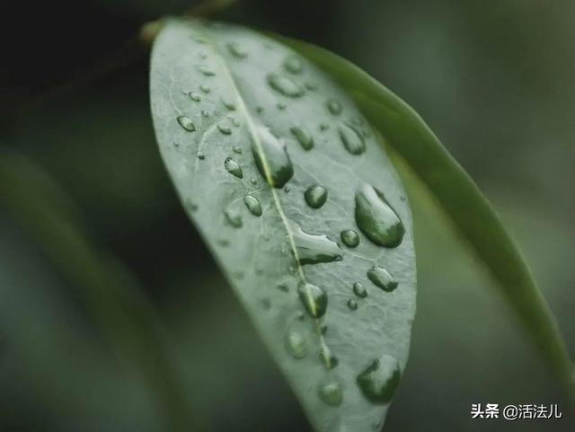 惊蛰后，很多人都开始祛湿了，记得做好这3件事，轻松祛湿更健康