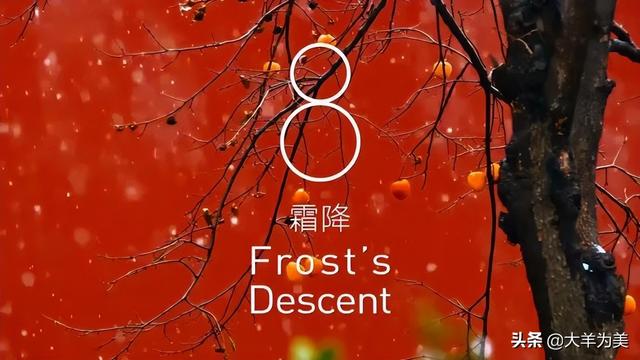 盐池滩羊之羊肉生发的禁忌