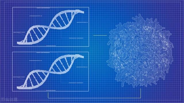 太空健康研究 | 宇航员血液样本揭示了太空飞行的一些健康风险