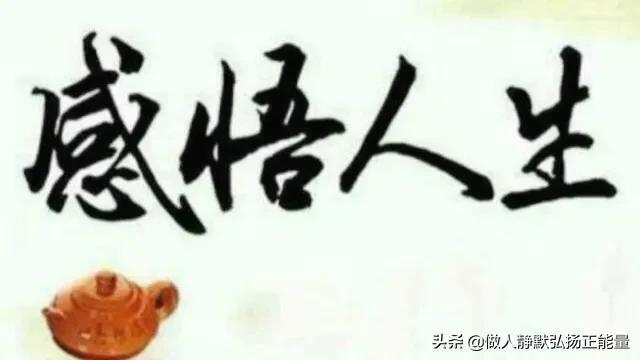感悟人生的经典句子