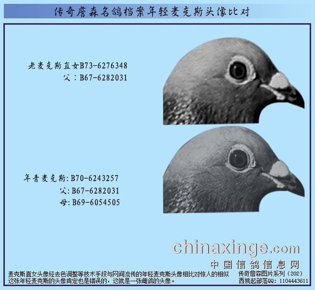 邢台华普机械制砂机