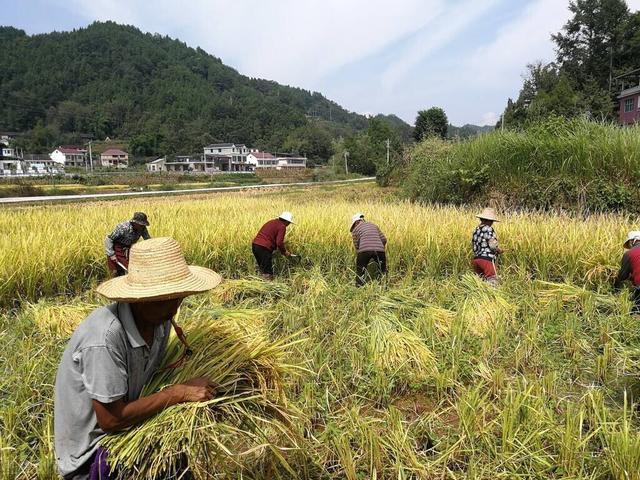 值此五一劳动节来临之际，向坚守在岗位上的劳动者致以崇高的敬意