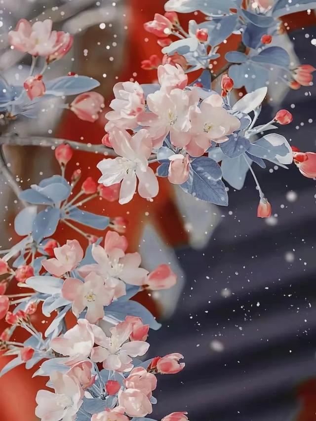 图源网络侵删了解古风本文关键词:最美的海棠花的诗句是什么,最美海棠