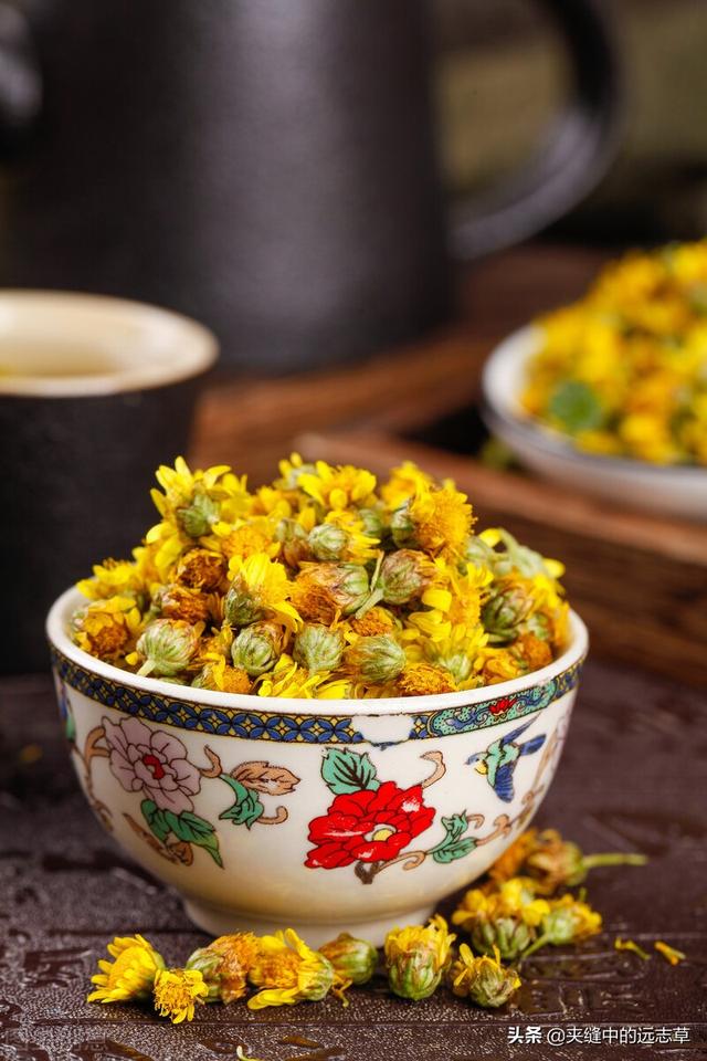 目昏，目干，迎风爱流泪？送你八味中药，养心神，补肝肾