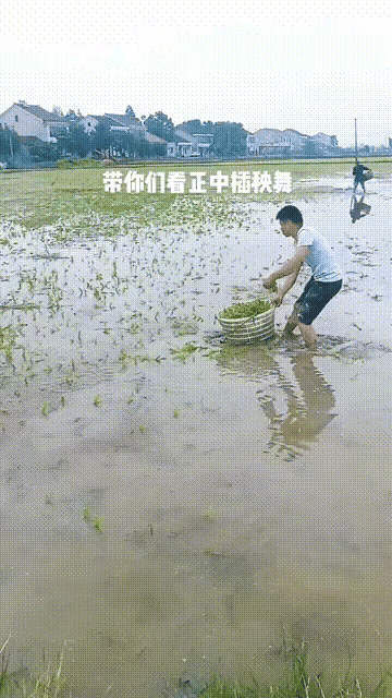 你劳动了吗