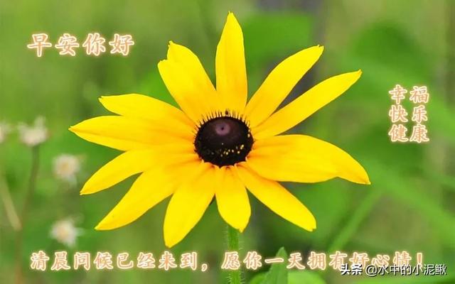 抖音最火的励志早安语录说说 越读越给力