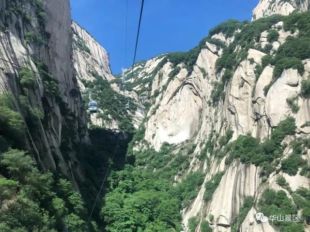 华山在哪里啊哪个省(爬华山一年死多少人)