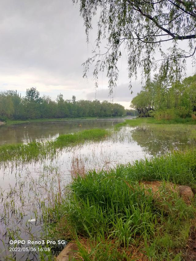 雨后戴河公园