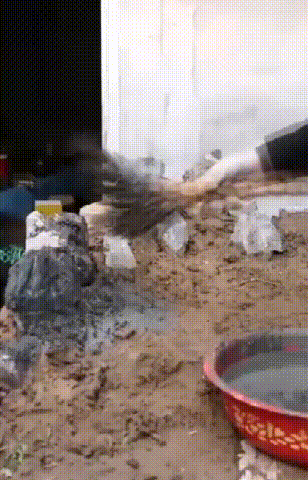怎么让孩子戒掉手机瘾(怎么让孩子戒掉手机瘾广州脑博仕在哪)(图18)