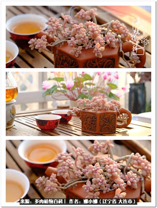 辽宁螺旋洗砂机出售
