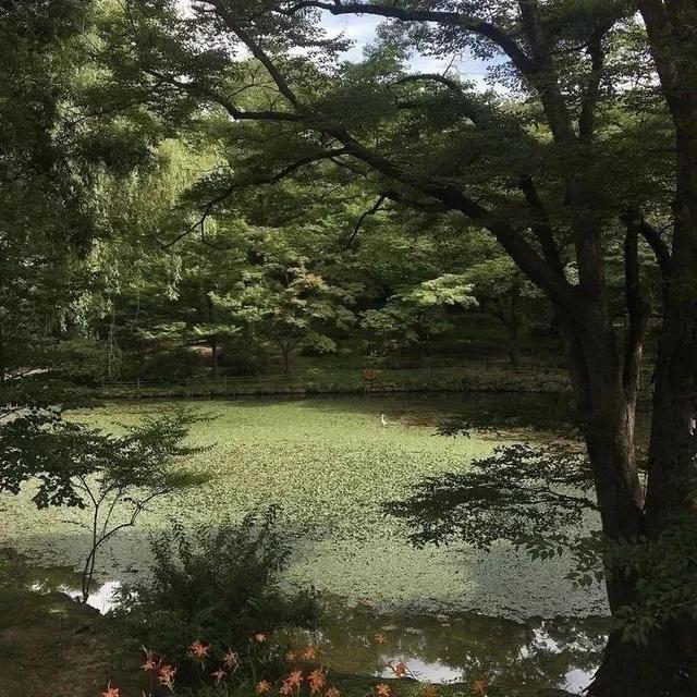 「文案」像黑暗中的光一样的温柔救赎文案