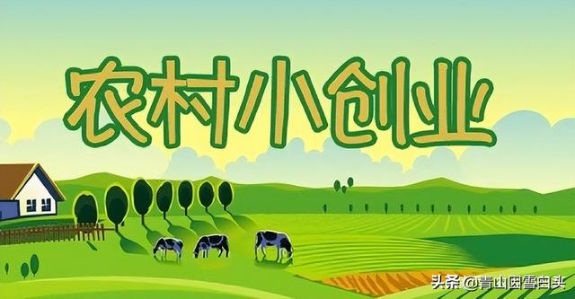 我想在农村创业做啥好（农村想创业什么好做）