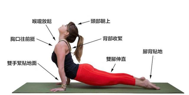 瑜伽上犬式怎么做才更完美初学者尤其要注意了 新闻时间