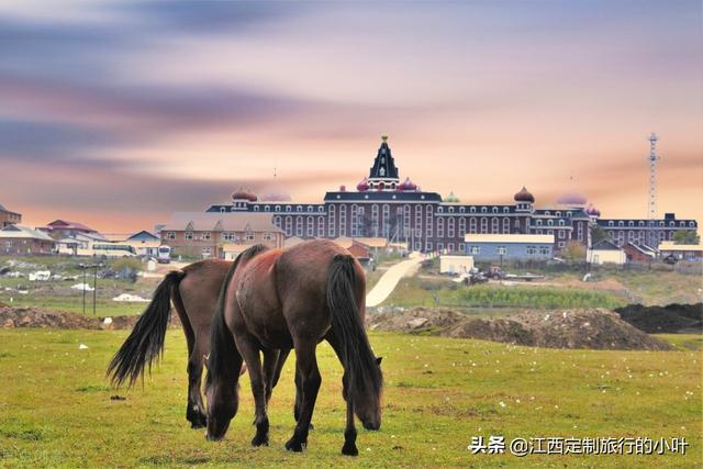 自驾去呼伦贝尔大草原注意什么（呼伦贝尔旅游攻略）(48)