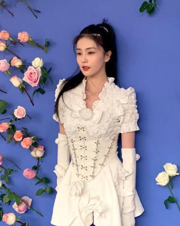 阿朵同款衣服（阿朵白鹿民族服饰比洋装高级）(14)