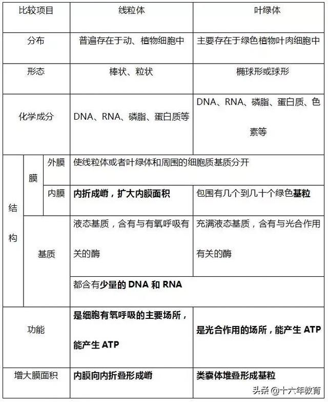 萨顿假说