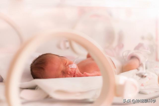 人类都是早产儿？人体的这个结构，让原本怀孕21月变成了怀胎10月