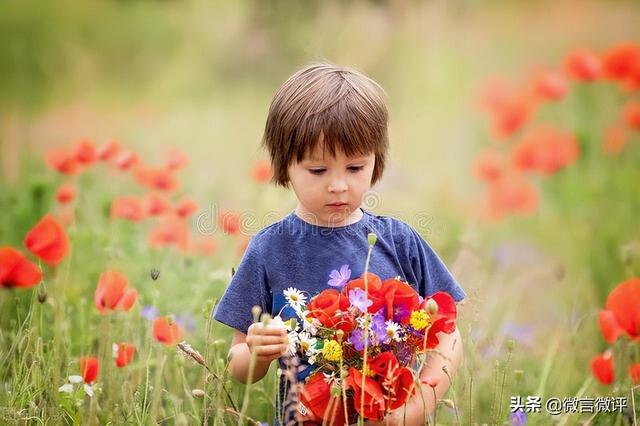 男子为尝鲜荒院内种250株罂粟苗