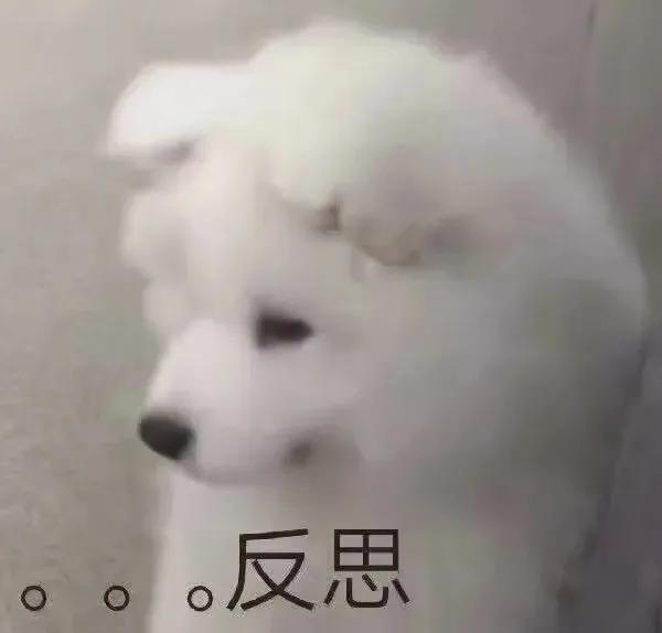 可爱的萌狗表情包（可爱狗狗表情包合集）(5)