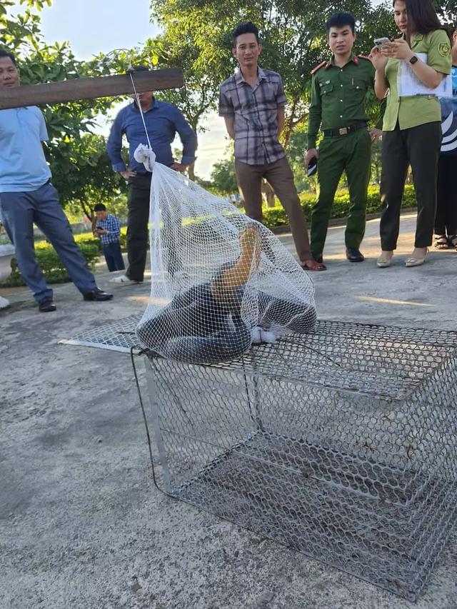 越南巨蛇出没！三米长的蛇突然出现在学校，吓坏了一众师生