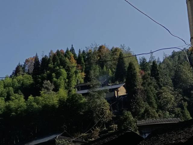 慶元村落｜壩頭村 · 千年古村藏深閨 靜候貴客探新顔