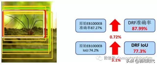 稀疏&集成的卷积神经网络学习