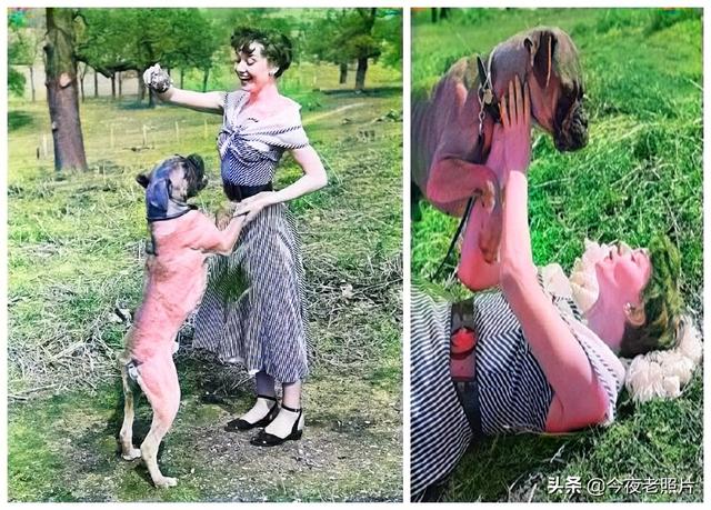 23张罕见照：日军跪在路边向妇女乞讨，德军吃剩的马蹄堆积如山