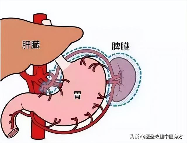 https://blog.sina.com.cn/s/blog_4de255b301032uv5.html
