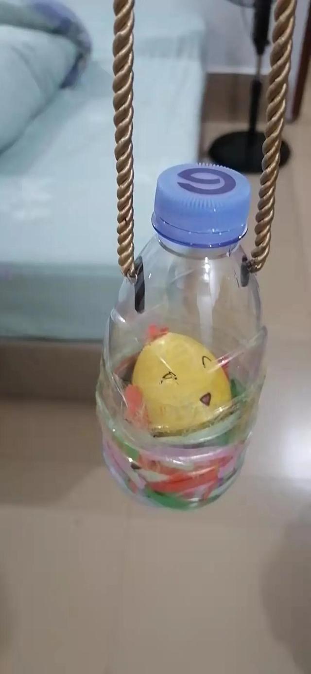 感恩节，学校安排的护蛋活动