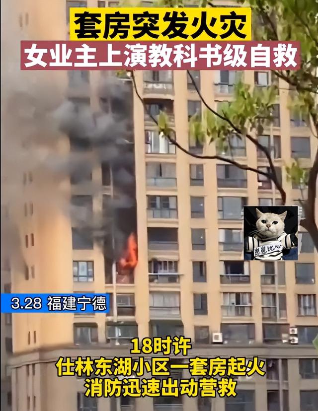 成年人最好的状态：顺境不惰，逆境不馁，绝境不慌