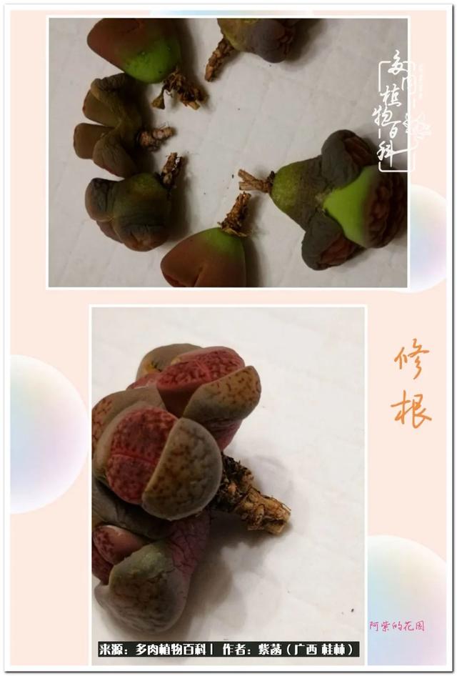 桂林滚筒式洗砂机厂家