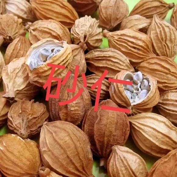 香砂六君丸和香砂养胃丸这两兄弟，治疗胃病有何区别