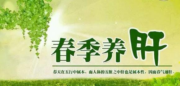 今天你的心情好吗——春日生活话养肝