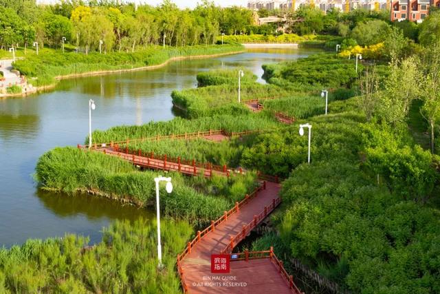 天津市濱海新區靜湖湖岸公園靜湖是目前生態城最大的景觀湖,延湖岸線