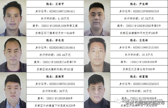 曝光! 武都区法院公布2022年第一批失信被执行人名单（172人）