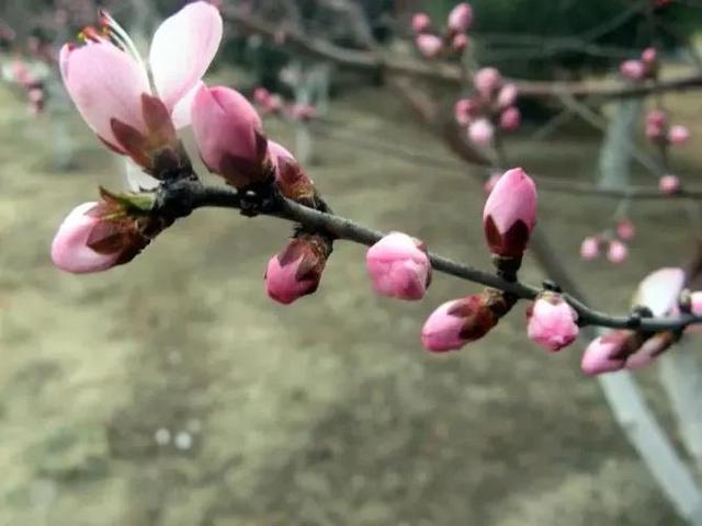 愿世间所有的美好，都恰逢其时的出现……