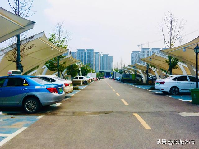 長沙唯一擁有戶外足球場的公園，更有大片水杉美景等你來