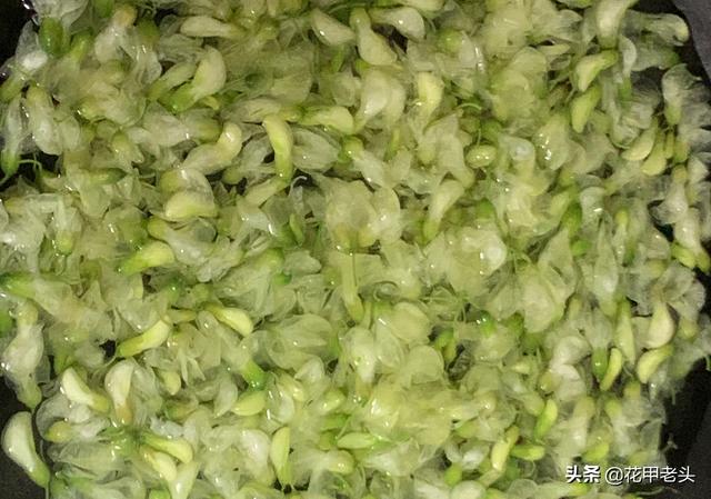 拒绝内耗！不能平天下也能幸福和睦，意料之中的事情来得太快