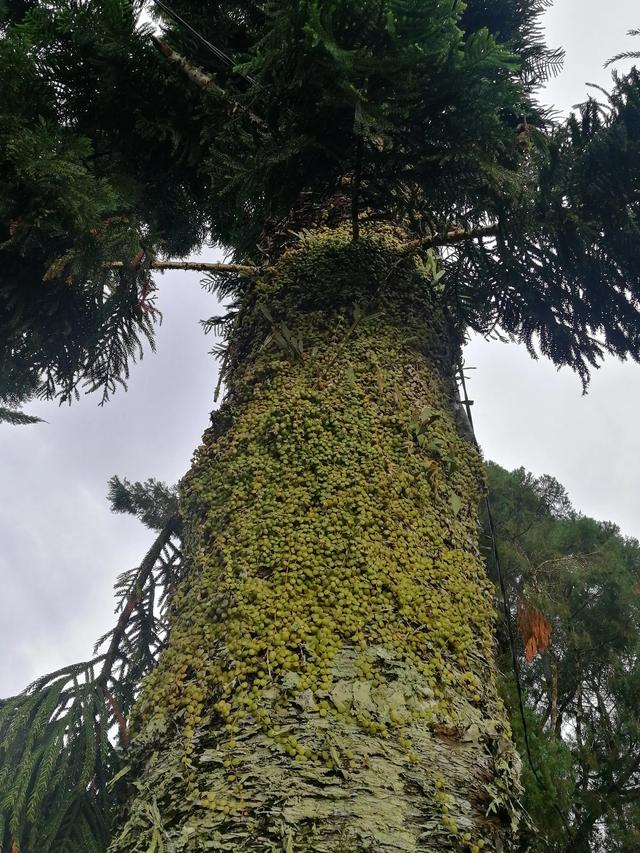 第三篇 升旗山