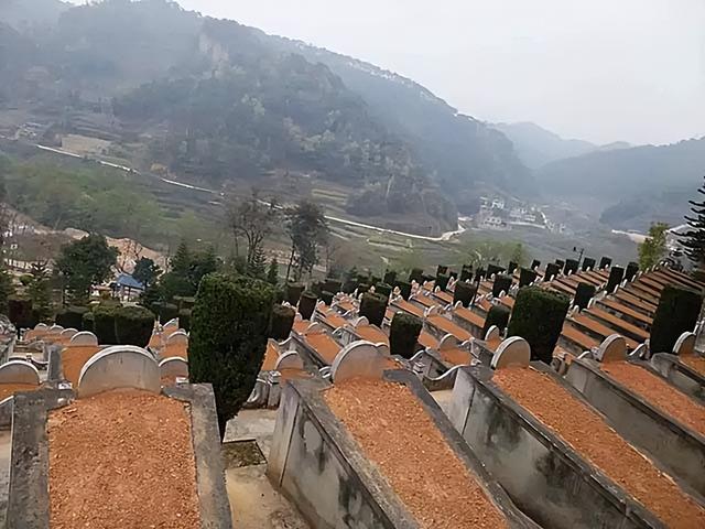 老山副连长战前恋爱，遭降级处分，25岁战场牺牲前大喊：我走了
