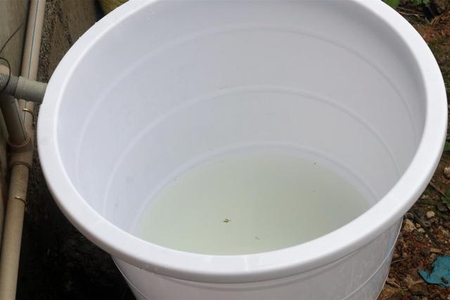 省水智能，Milano云米AI洗碗机深度体验：是你想要的懒人工具吗？